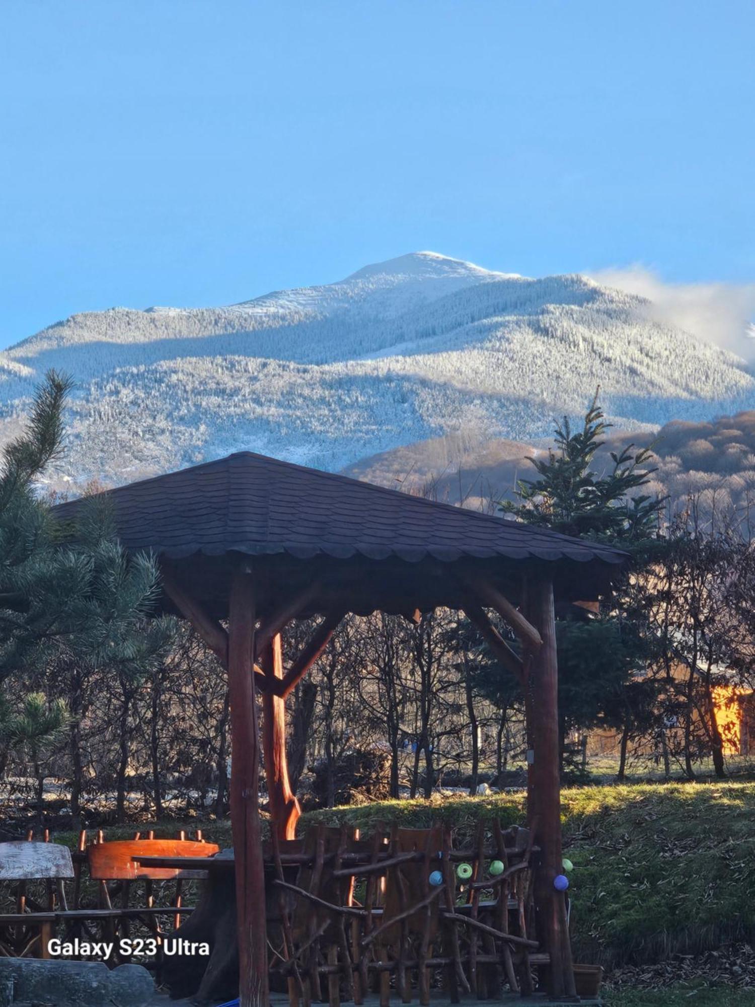 Casa de vacanța Marin Arpaşu de Sus Exterior foto