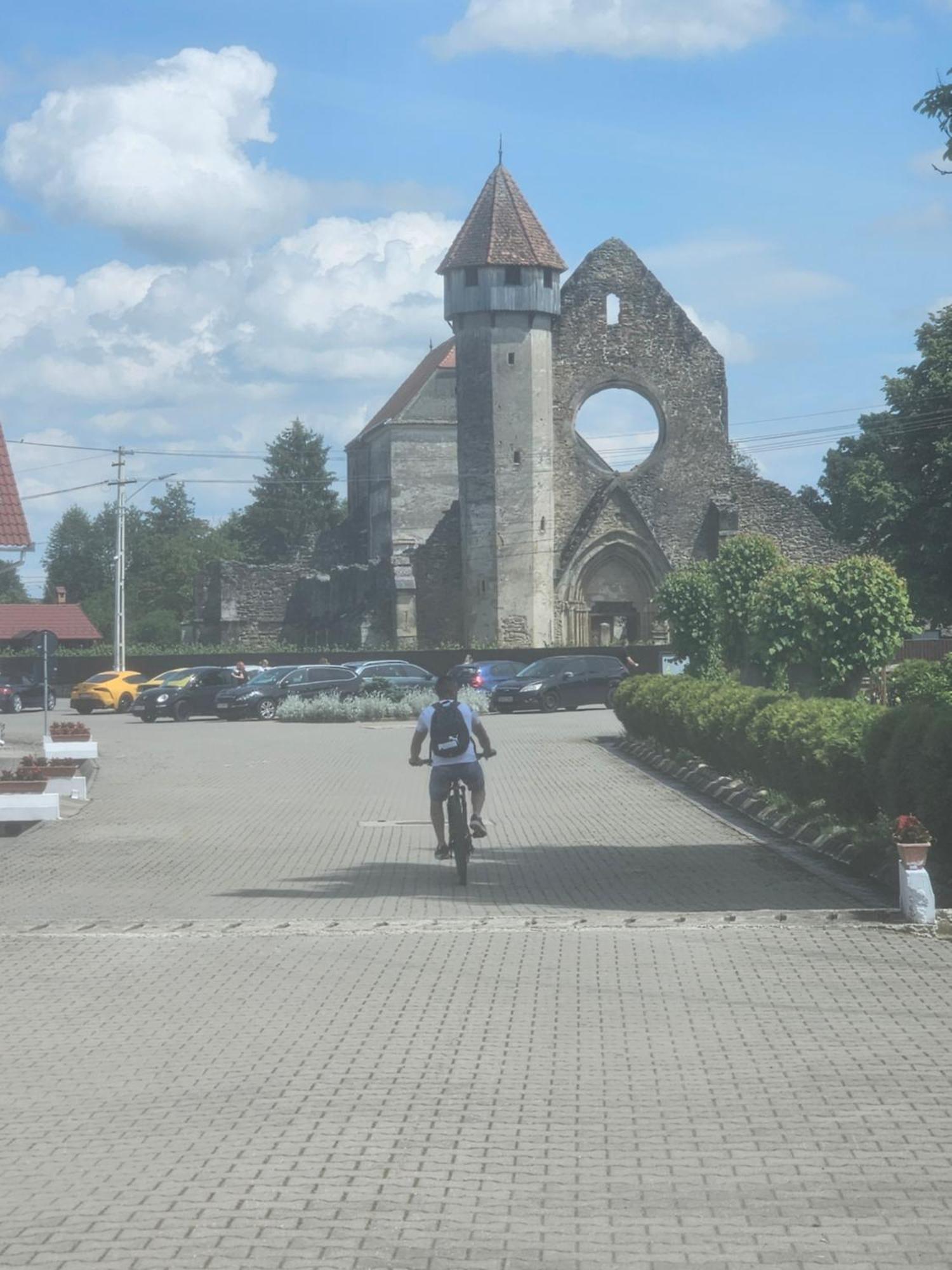 Casa de vacanța Marin Arpaşu de Sus Exterior foto