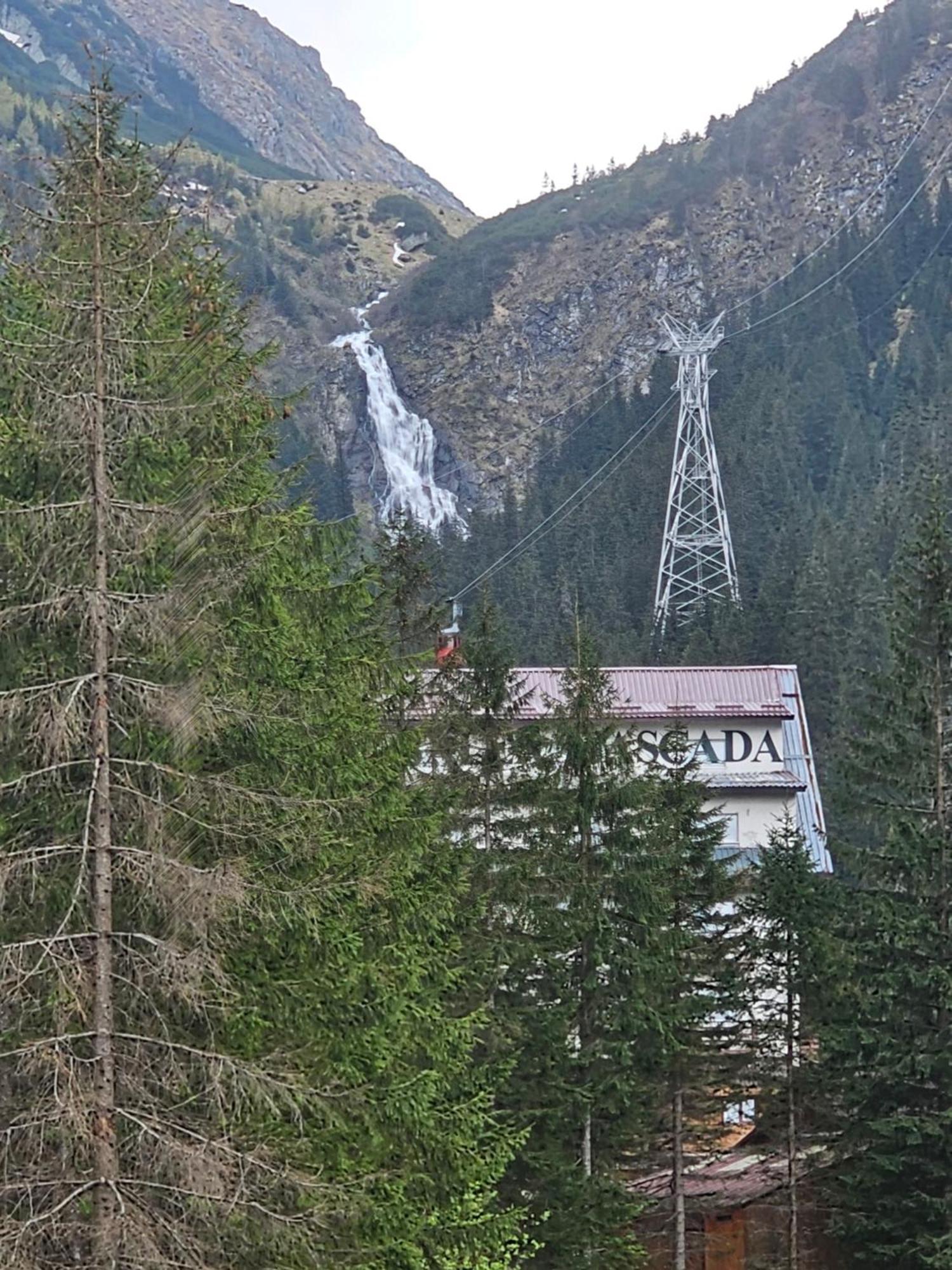 Casa de vacanța Marin Arpaşu de Sus Exterior foto