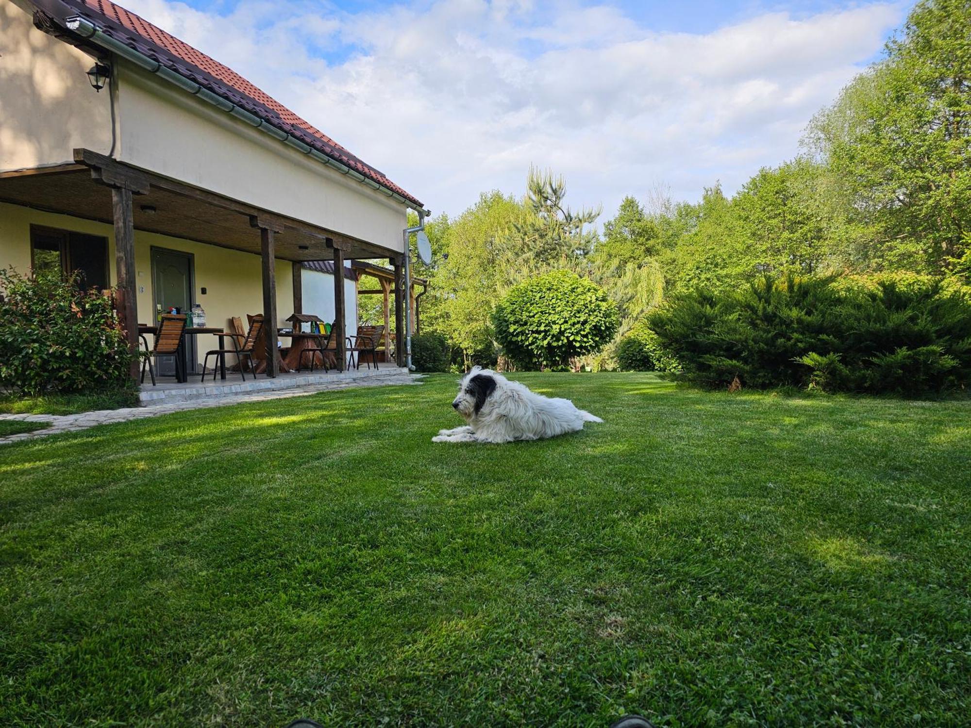 Casa de vacanța Marin Arpaşu de Sus Exterior foto