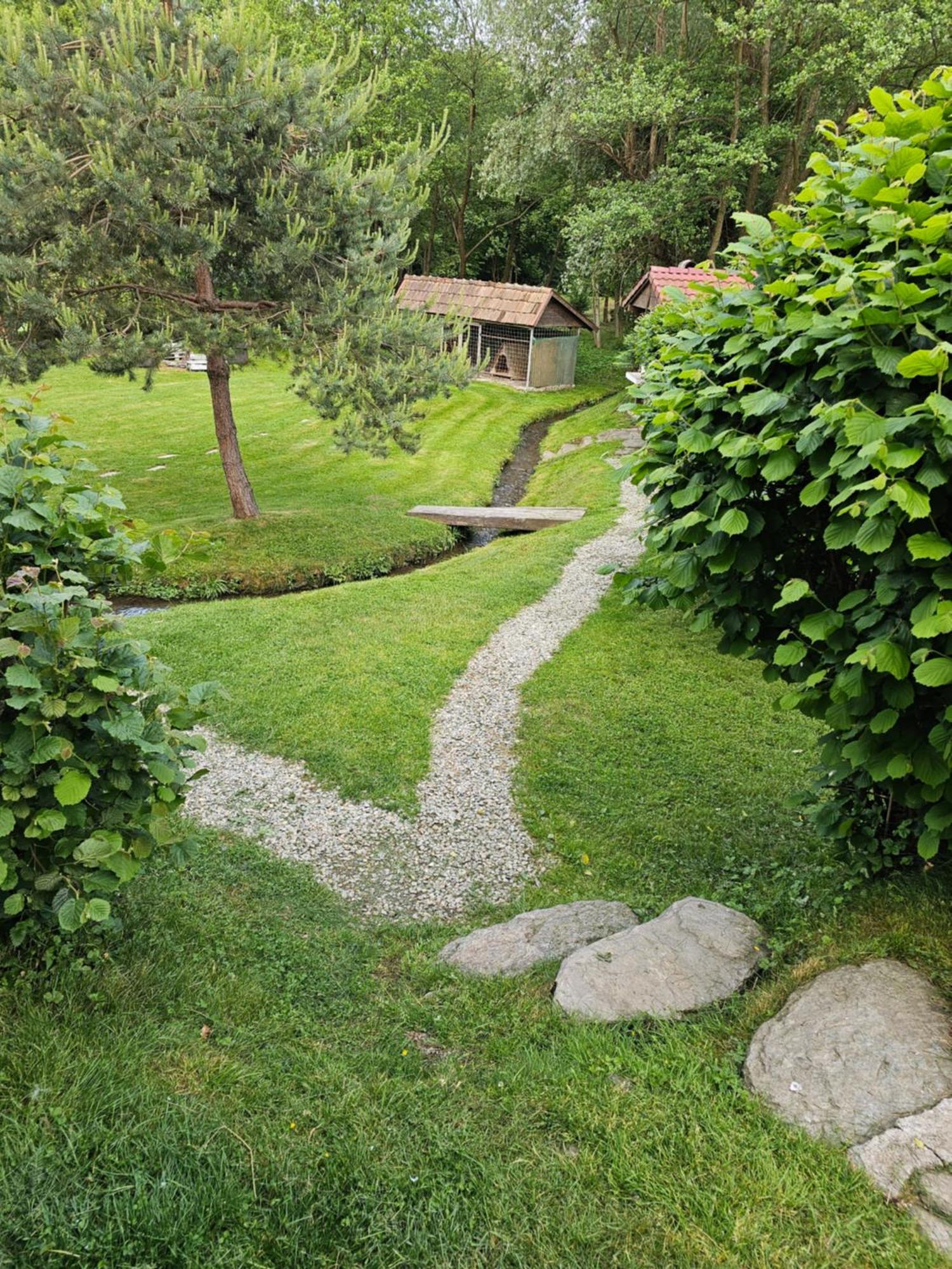Casa de vacanța Marin Arpaşu de Sus Exterior foto