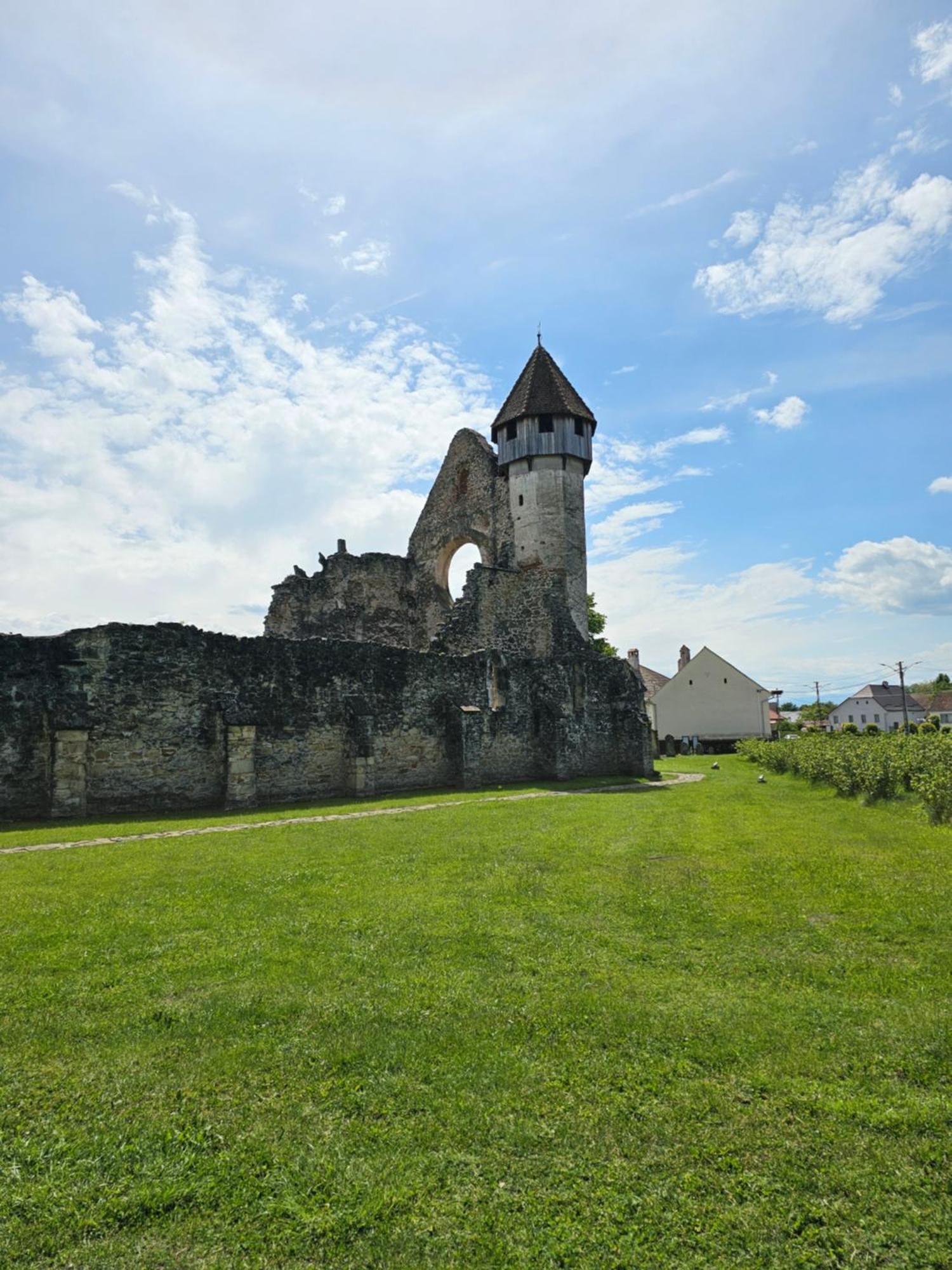 Casa de vacanța Marin Arpaşu de Sus Exterior foto