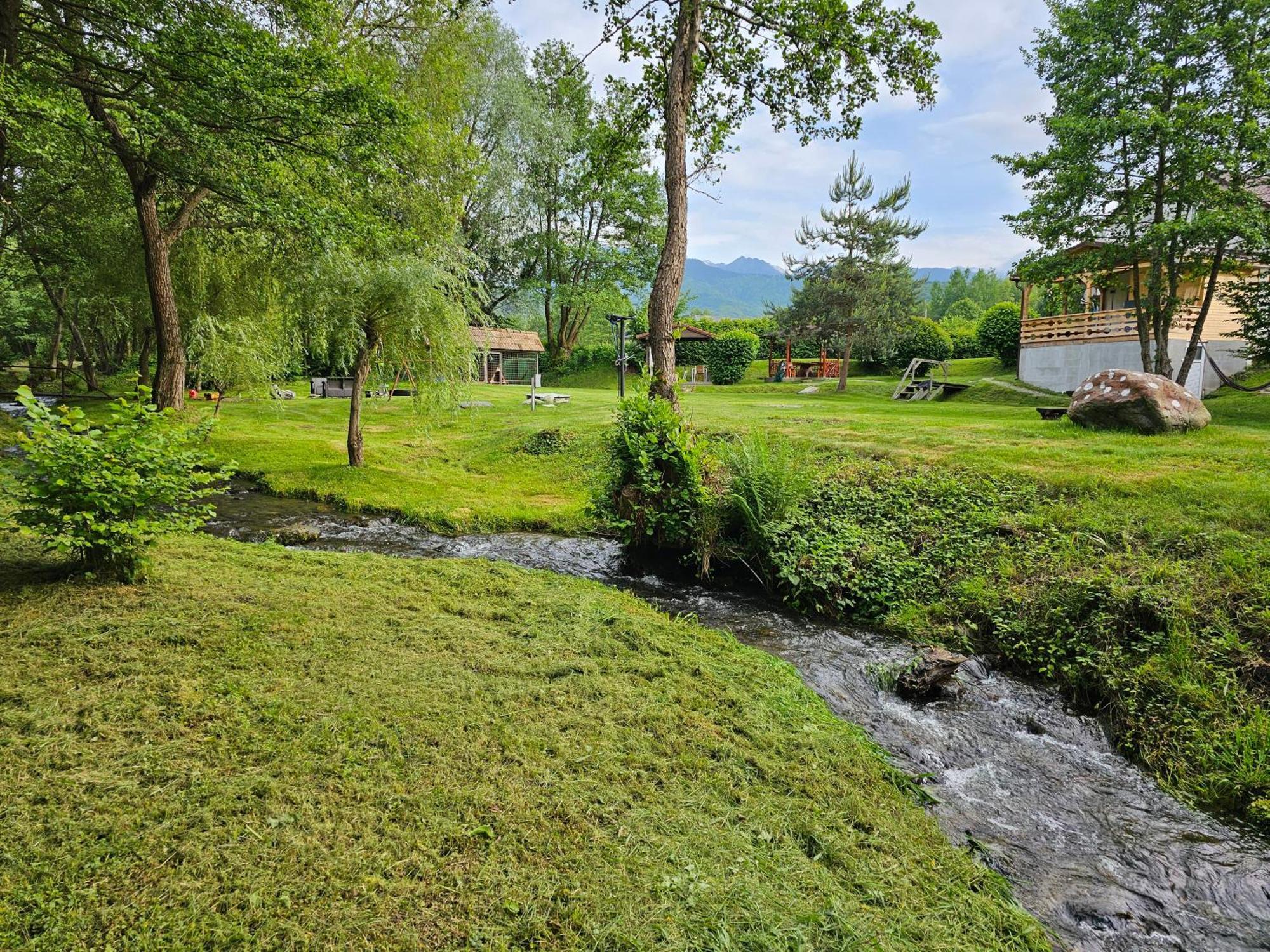 Casa de vacanța Marin Arpaşu de Sus Exterior foto