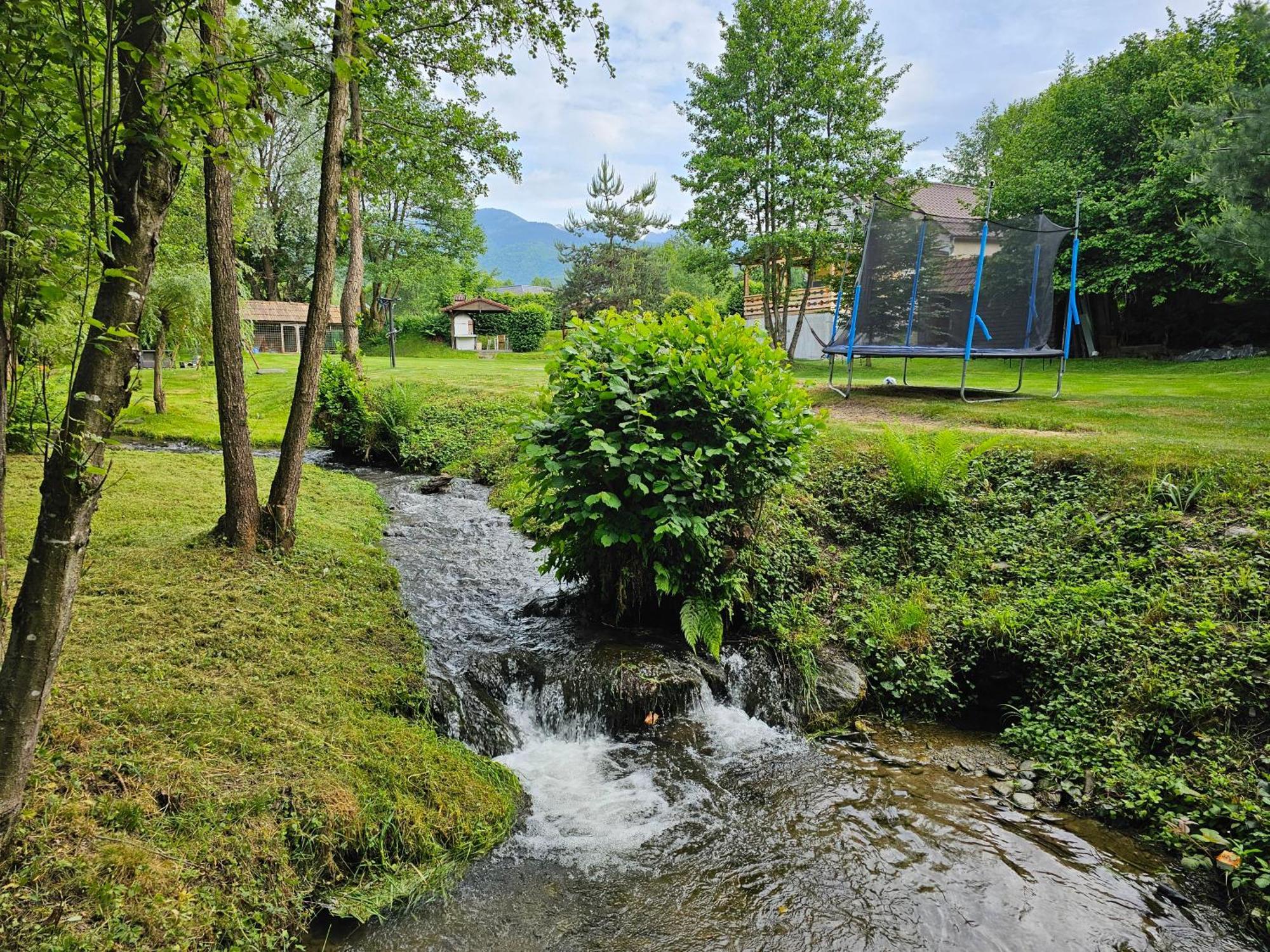 Casa de vacanța Marin Arpaşu de Sus Exterior foto