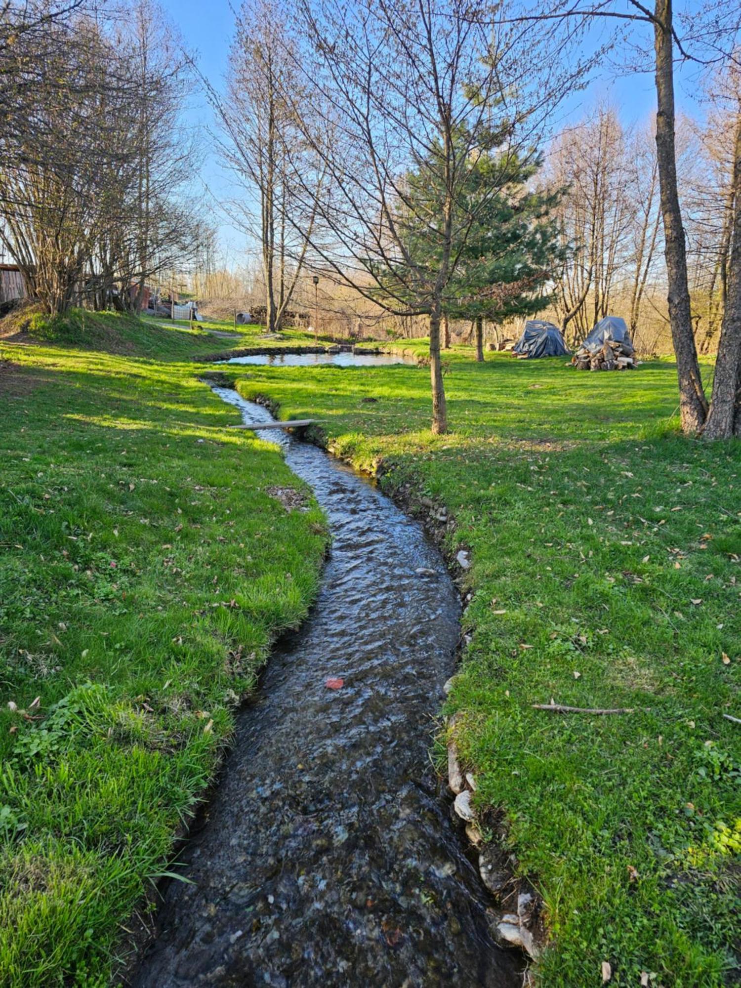 Casa de vacanța Marin Arpaşu de Sus Exterior foto