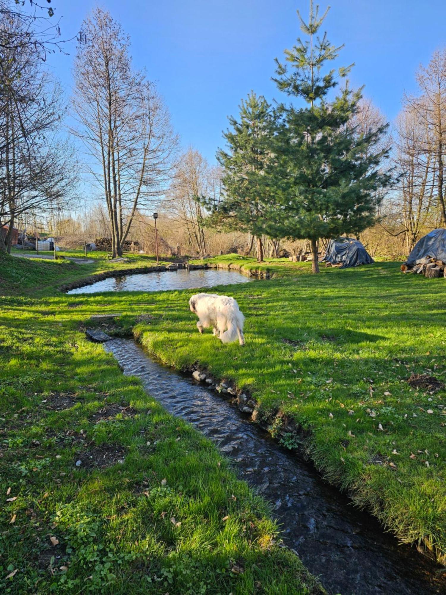 Casa de vacanța Marin Arpaşu de Sus Exterior foto
