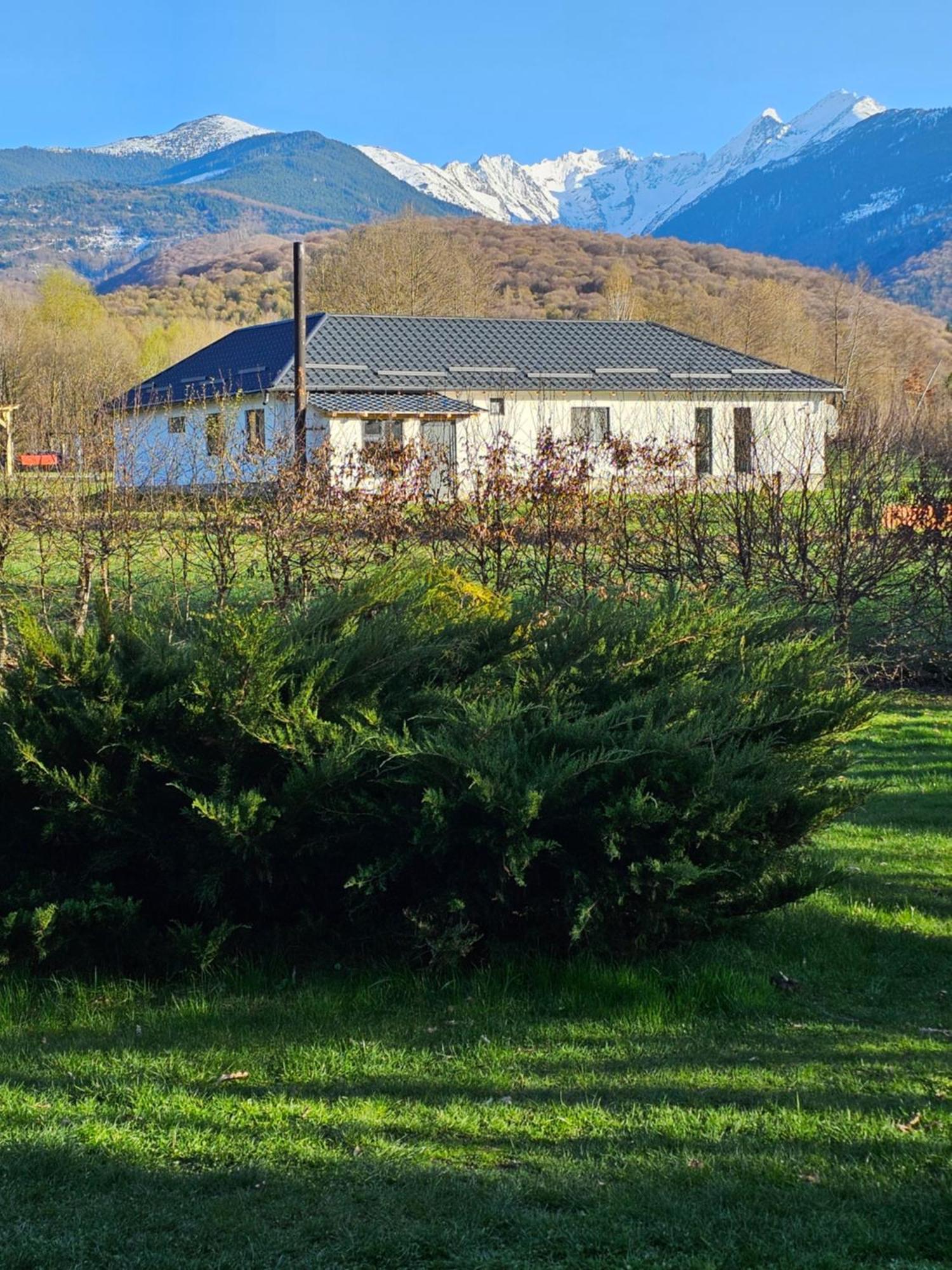 Casa de vacanța Marin Arpaşu de Sus Exterior foto